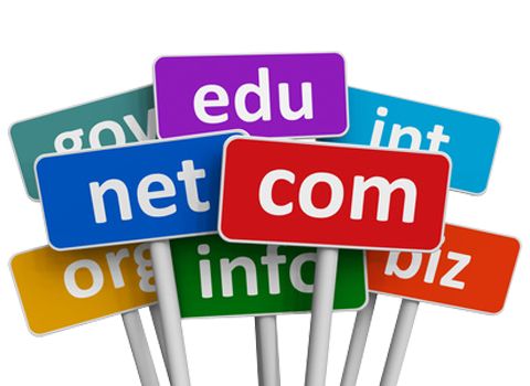 Earth Skater Domain Names